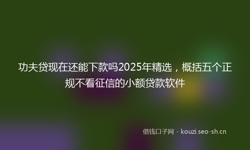 功夫贷现在还能下款吗2025年精选，概括五个正规不看征信的小额贷款软件