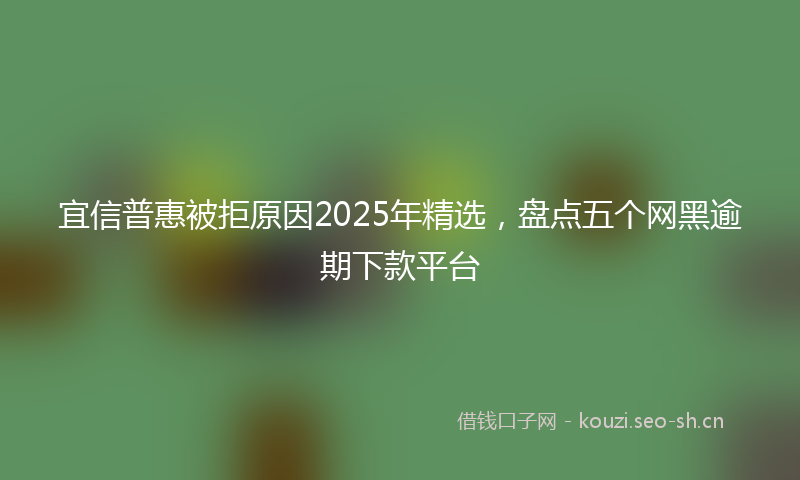 宜信普惠被拒原因2025年精选，盘点五个网黑逾期下款平台