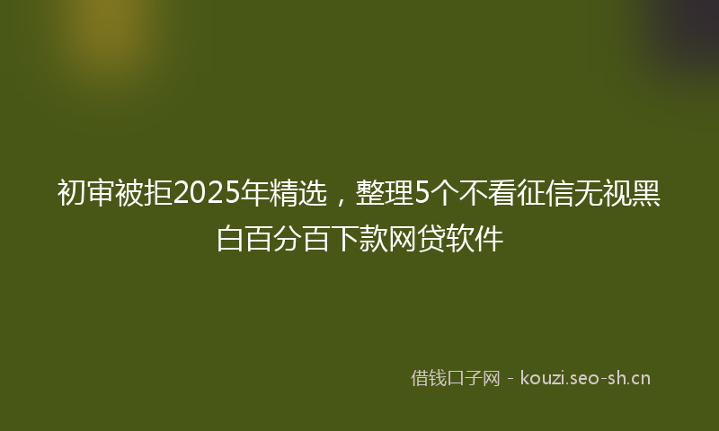 初审被拒2025年精选，整理5个不看征信无视黑白百分百下款网贷软件