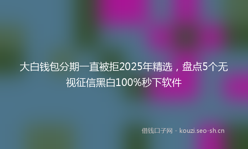 大白钱包分期一直被拒2025年精选，盘点5个无视征信黑白100%秒下软件