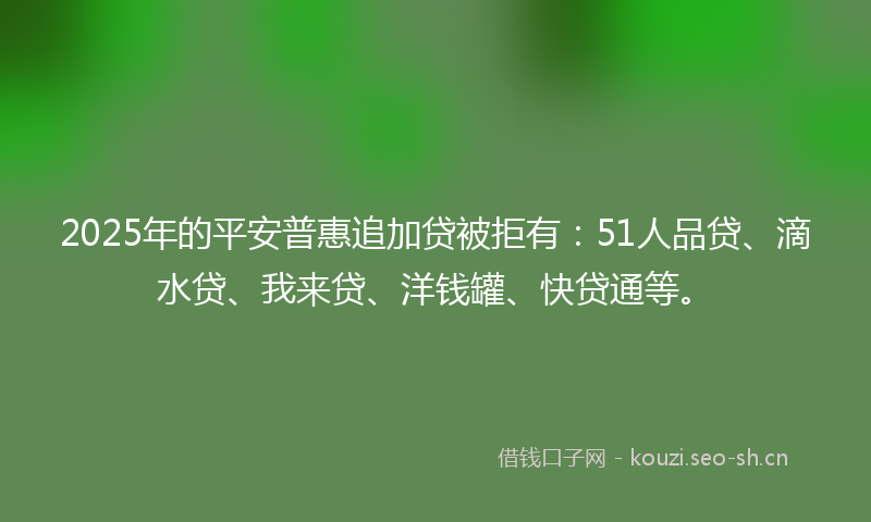 2025年的平安普惠追加贷被拒有：51人品贷、滴水贷、我来贷、洋钱罐、快贷通等。