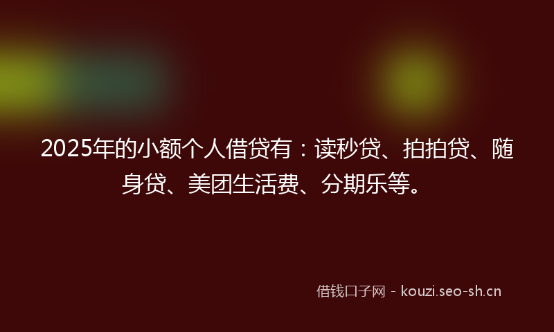2025年的小额个人借贷有:读秒贷、拍拍贷、随身贷、美团生活费、分期乐等。