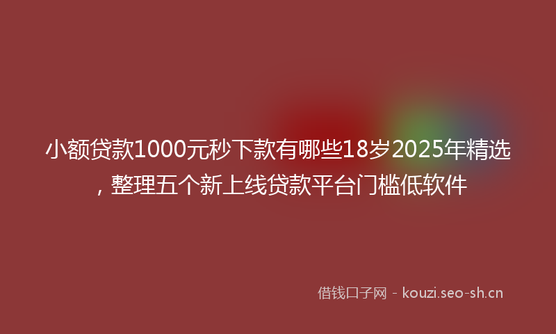 小额贷款1000元秒下款有哪些18岁2025年精选，整理五个新上线贷款平台门槛低软件