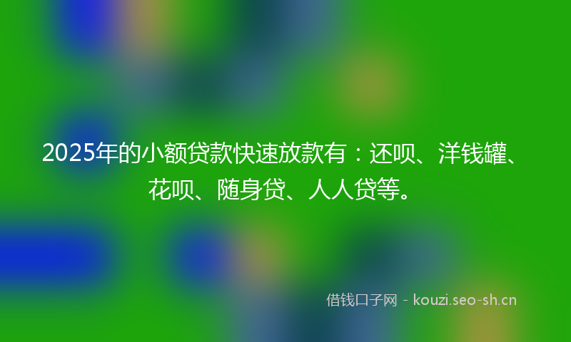 2025年的小额贷款快速放款有：还呗、洋钱罐、花呗、随身贷、人人贷等。