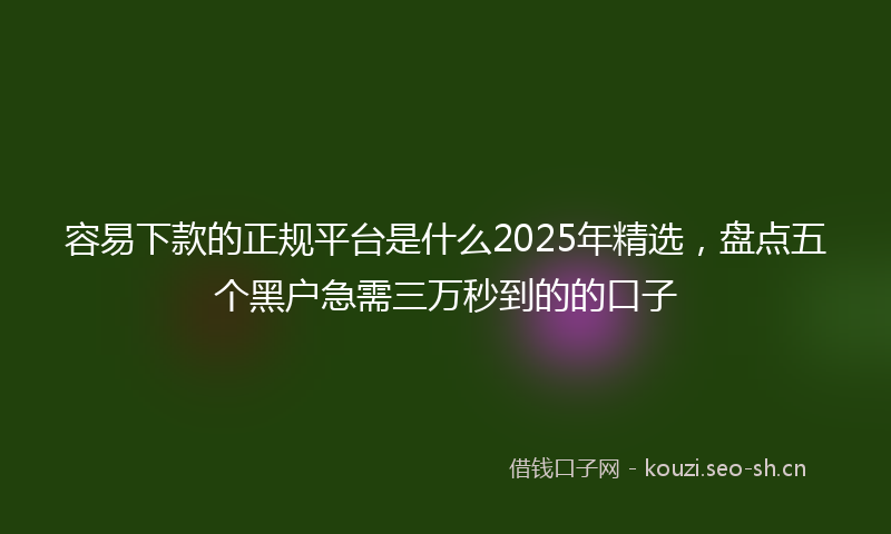 容易下款的正规平台是什么2025年精选，盘点五个黑户急需三万秒到的的口子
