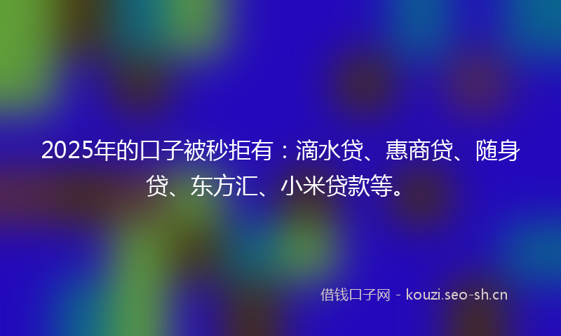 2025年的口子被秒拒有：滴水贷、惠商贷、随身贷、东方汇、小米贷款等。