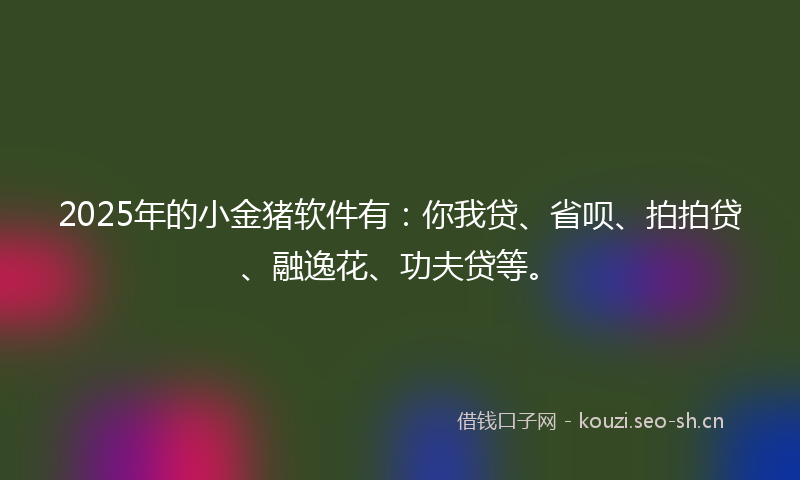 2025年的小金猪软件有：你我贷、省呗、拍拍贷、融逸花、功夫贷等。