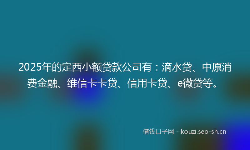 2025年的定西小额贷款公司有：滴水贷、中原消费金融、维信卡卡贷、信用卡贷、e微贷等。