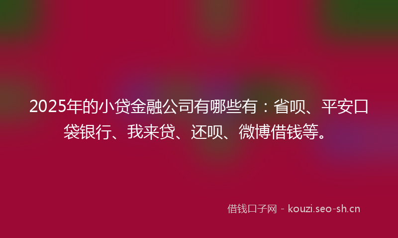 2025年的小贷金融公司有哪些有：省呗、平安口袋银行、我来贷、还呗、微博借钱等。