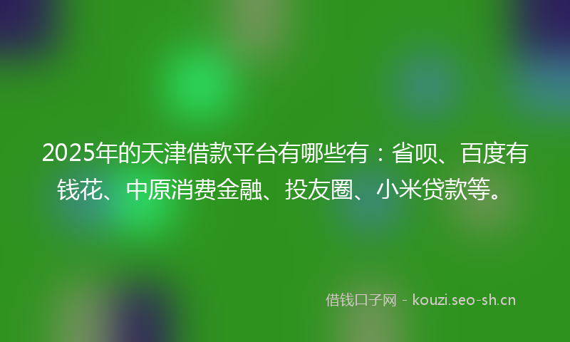 2025年的天津借款平台有哪些有：省呗、百度有钱花、中原消费金融、投友圈、小米贷款等。