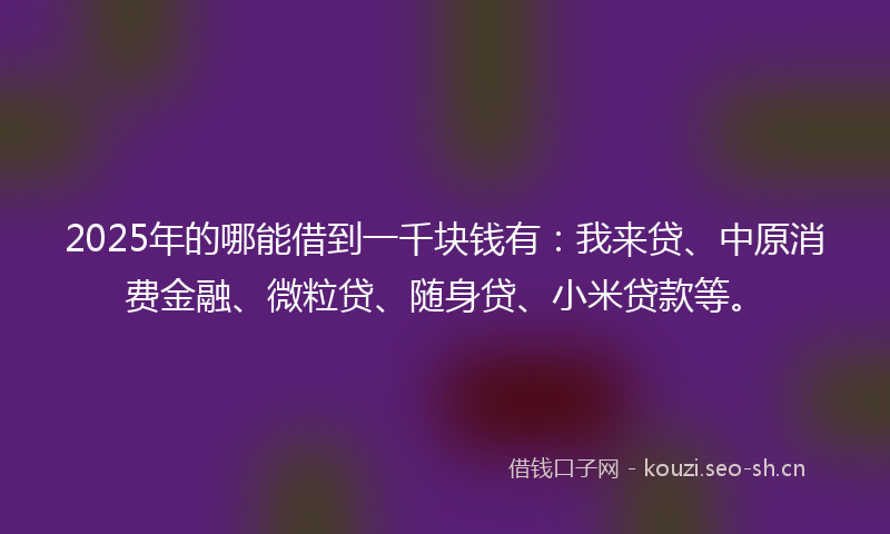 2025年的哪能借到一千块钱有：我来贷、中原消费金融、微粒贷、随身贷、小米贷款等。