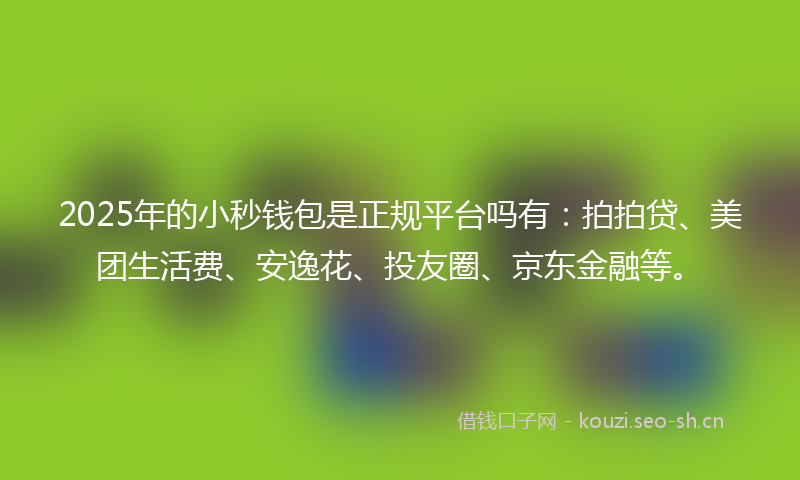 2025年的小秒钱包是正规平台吗有：拍拍贷、美团生活费、安逸花、投友圈、京东金融等。