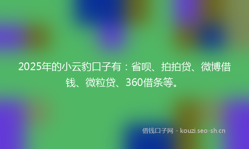 2025年的小云豹口子有:省呗、拍拍贷、微博借钱、微粒贷、360借条等。
