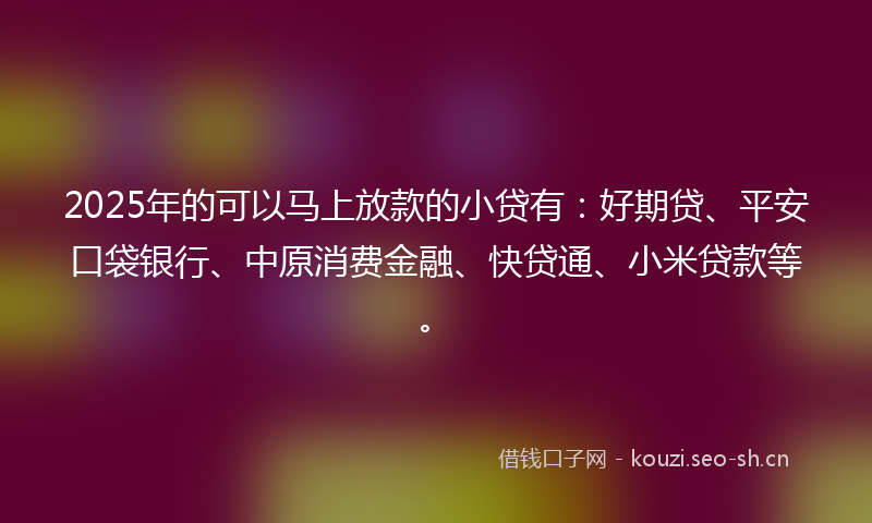 2025年的可以马上放款的小贷有：好期贷、平安口袋银行、中原消费金融、快贷通、小米贷款等。