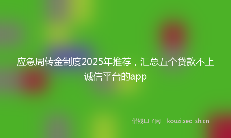 应急周转金制度2025年推荐，汇总五个贷款不上诚信平台的app