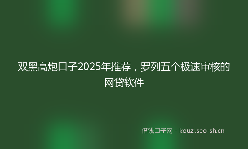 双黑高炮口子2025年推荐,罗列五个极速审核的网贷软件