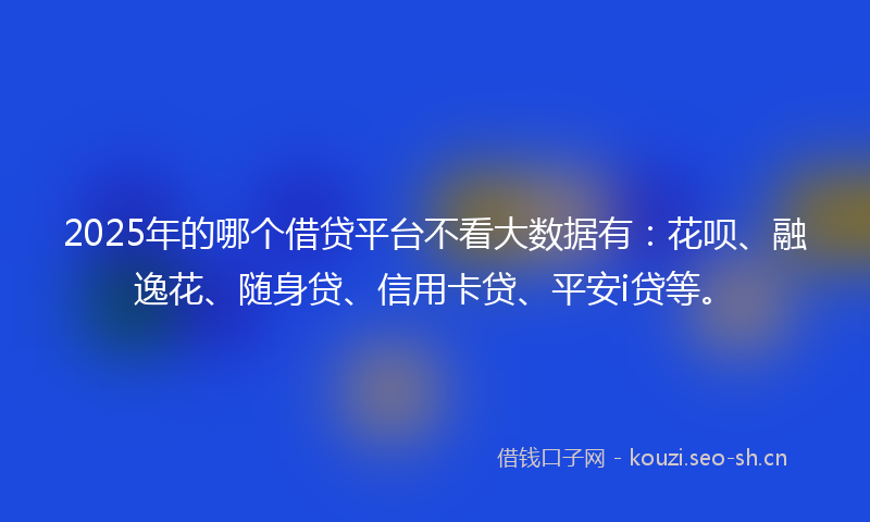 2025年的哪个借贷平台不看大数据有：花呗、融逸花、随身贷、信用卡贷、平安i贷等。