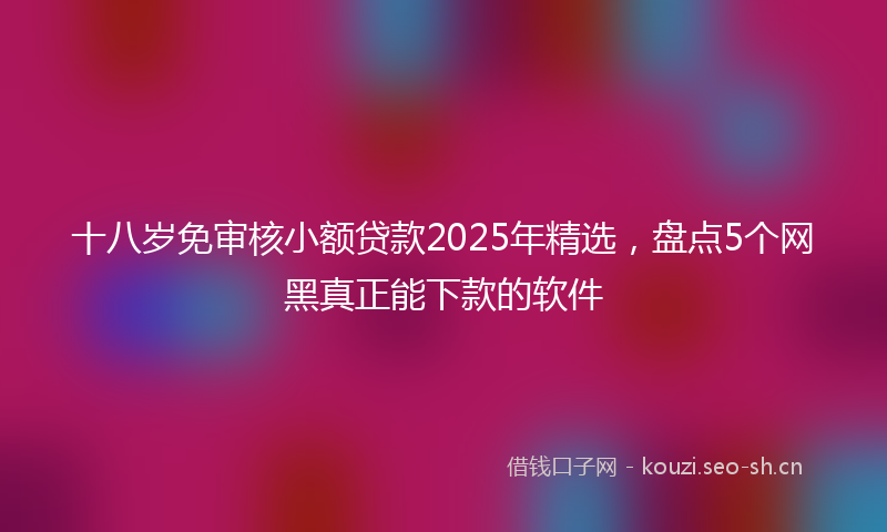 十八岁免审核小额贷款2025年精选，盘点5个网黑真正能下款的软件