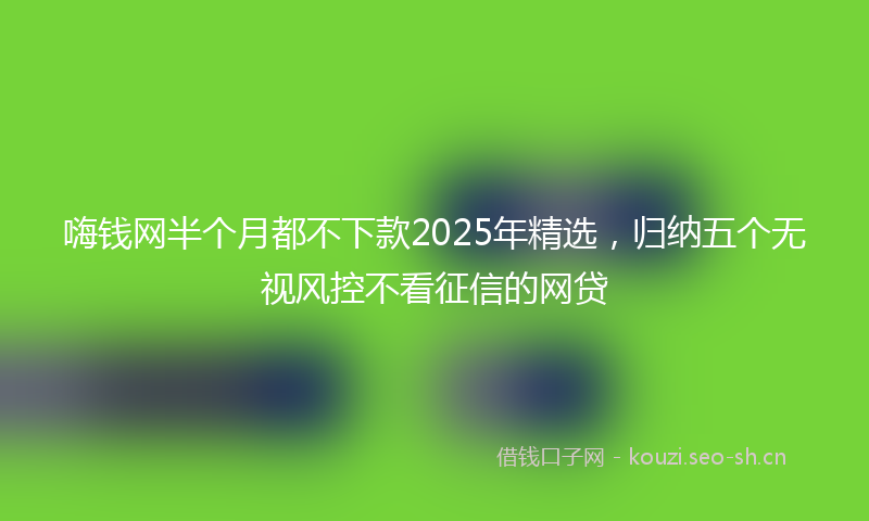 嗨钱网半个月都不下款2025年精选，归纳五个无视风控不看征信的网贷