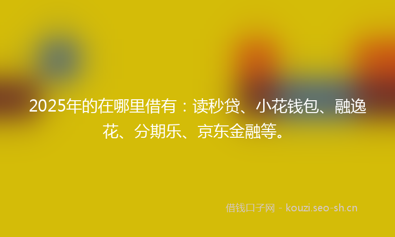 2025年的在哪里借有：读秒贷、小花钱包、融逸花、分期乐、京东金融等。