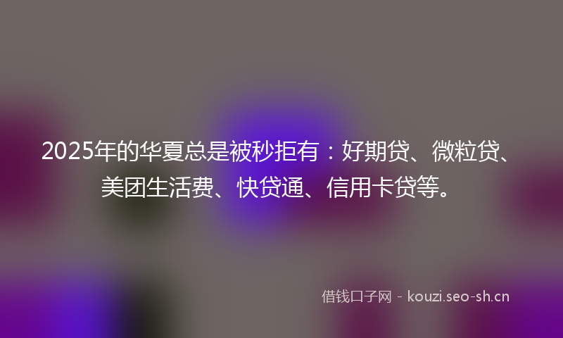 2025年的华夏总是被秒拒有：好期贷、微粒贷、美团生活费、快贷通、信用卡贷等。