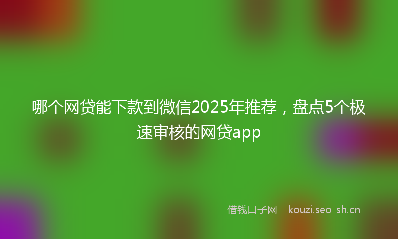 哪个网贷能下款到微信2025年推荐，盘点5个极速审核的网贷app