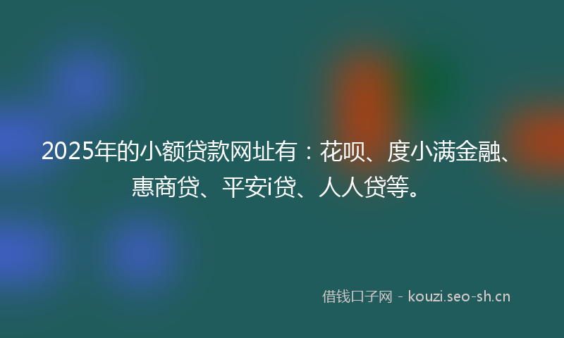 2025年的小额贷款网址有：花呗、度小满金融、惠商贷、平安i贷、人人贷等。