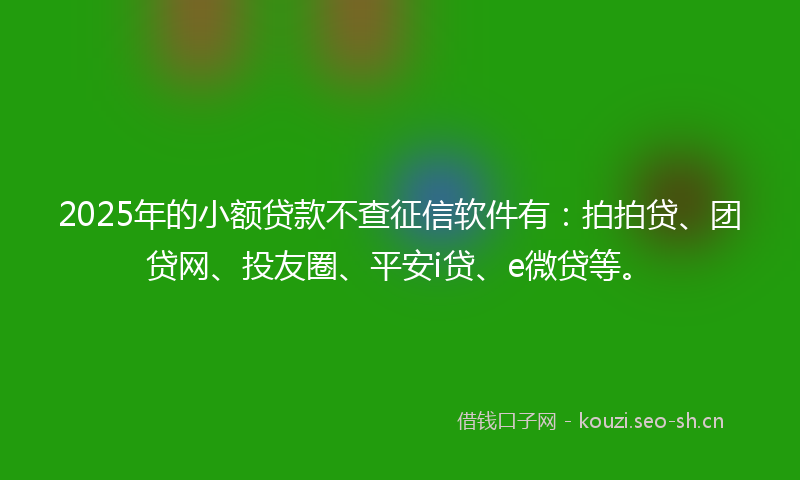 2025年的小额贷款不查征信软件有：拍拍贷、团贷网、投友圈、平安i贷、e微贷等。