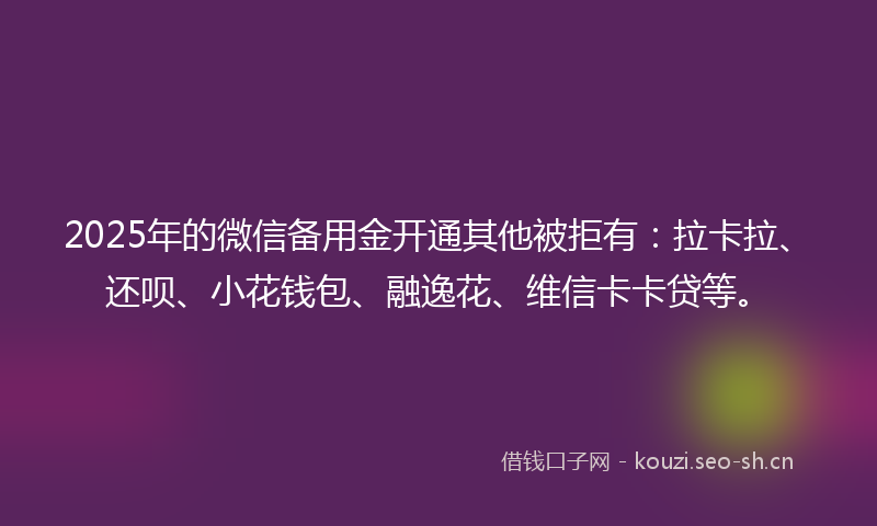 2025年的微信备用金开通其他被拒有：拉卡拉、还呗、小花钱包、融逸花、维信卡卡贷等。