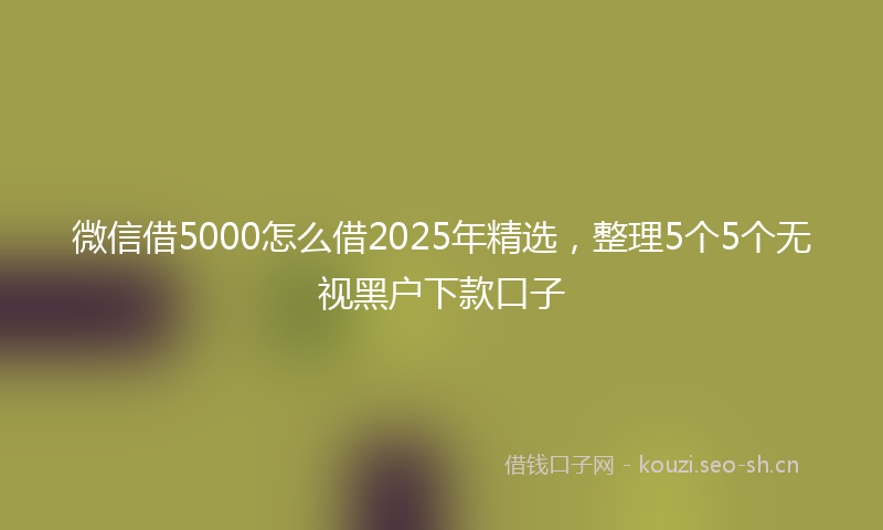 微信借5000怎么借2025年精选，整理5个5个无视黑户下款口子
