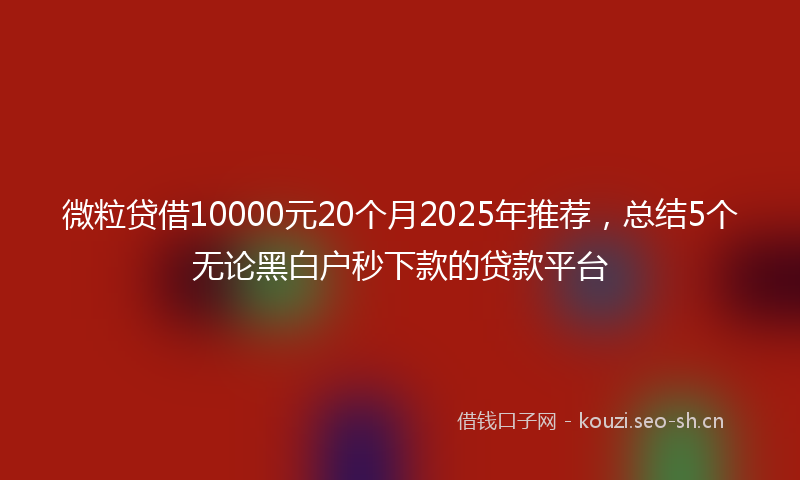 微粒贷借10000元20个月2025年推荐,总结5个无论黑白户秒下款的贷款平台