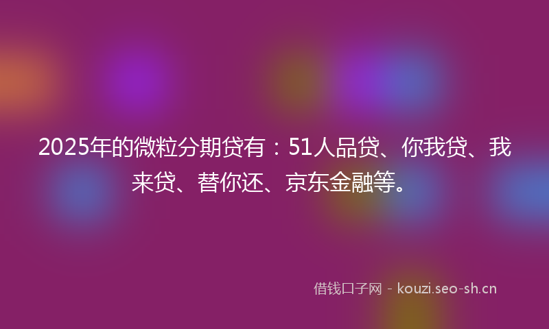 2025年的微粒分期贷有：51人品贷、你我贷、我来贷、替你还、京东金融等。