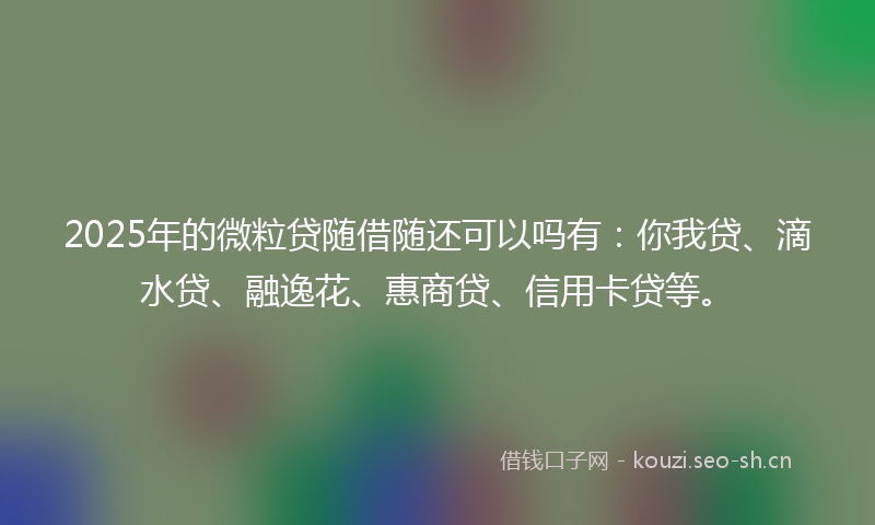 2025年的微粒贷随借随还可以吗有：你我贷、滴水贷、融逸花、惠商贷、信用卡贷等。