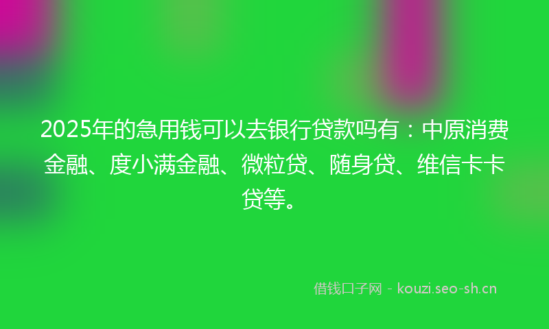 2025年的急用钱可以去银行贷款吗有：中原消费金融、度小满金融、微粒贷、随身贷、维信卡卡贷等。