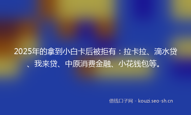 2025年的拿到小白卡后被拒有：拉卡拉、滴水贷、我来贷、中原消费金融、小花钱包等。