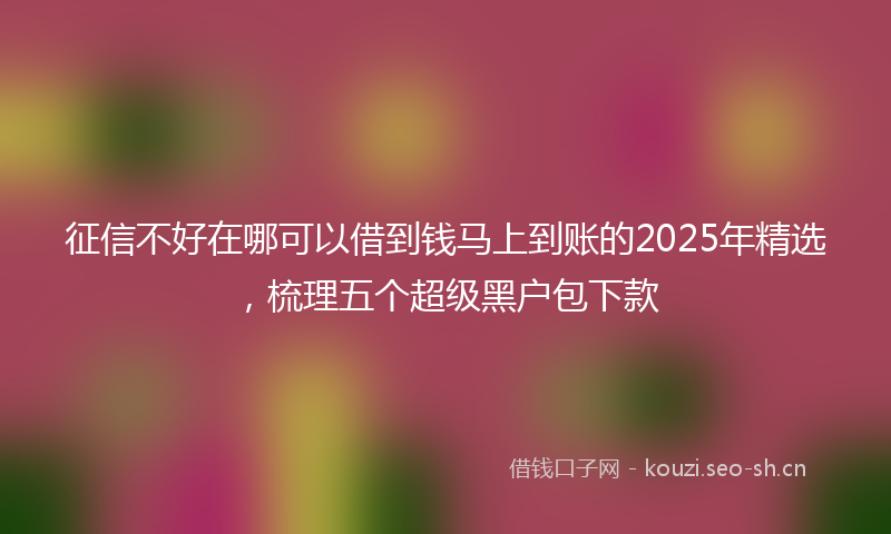 征信不好在哪可以借到钱马上到账的2025年精选，梳理五个超级黑户包下款