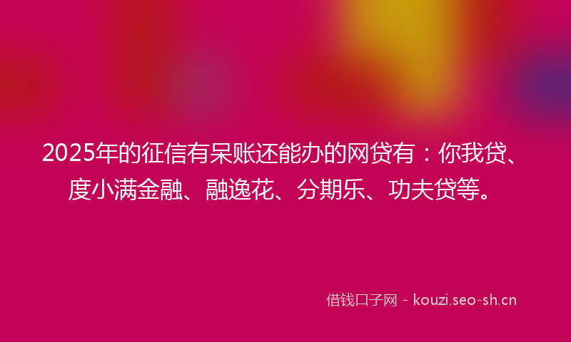 2025年的征信有呆账还能办的网贷有：你我贷、度小满金融、融逸花、分期乐、功夫贷等。
