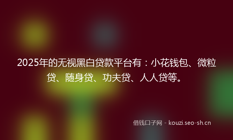 2025年的无视黑白贷款平台有：小花钱包、微粒贷、随身贷、功夫贷、人人贷等。
