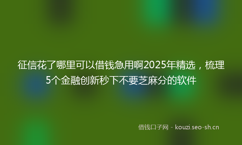 征信花了哪里可以借钱急用啊2025年精选，梳理5个金融创新秒下不要芝麻分的软件