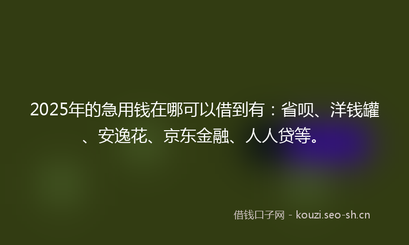 2025年的急用钱在哪可以借到有：省呗、洋钱罐、安逸花、京东金融、人人贷等。