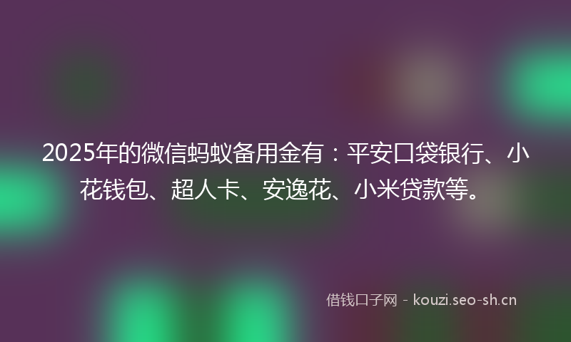 2025年的微信蚂蚁备用金有：平安口袋银行、小花钱包、超人卡、安逸花、小米贷款等。
