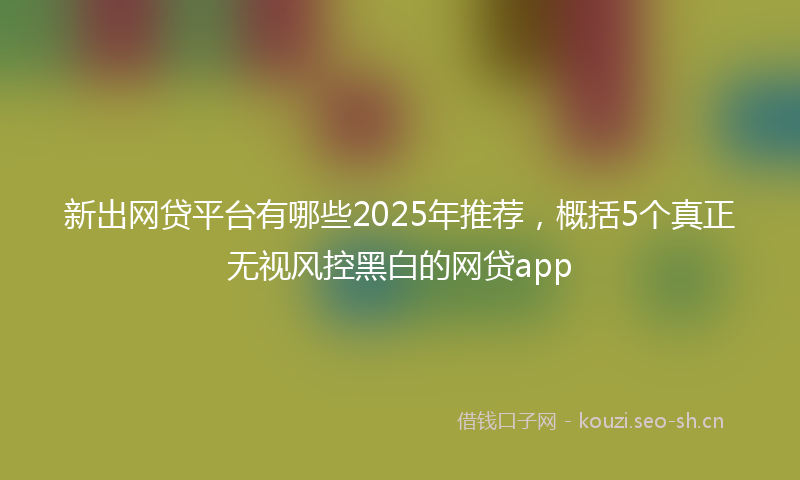 新出网贷平台有哪些2025年推荐，概括5个真正无视风控黑白的网贷app