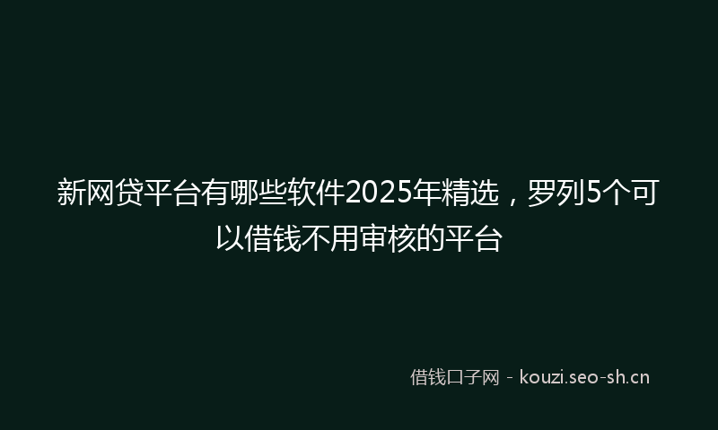 新网贷平台有哪些软件2025年精选，罗列5个可以借钱不用审核的平台