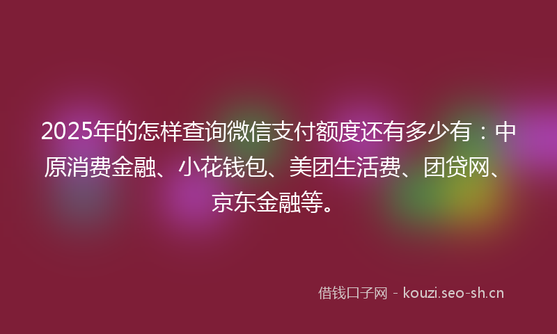2025年的怎样查询微信支付额度还有多少有：中原消费金融、小花钱包、美团生活费、团贷网、京东金融等。