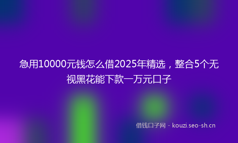 急用10000元钱怎么借2025年精选，整合5个无视黑花能下款一万元口子