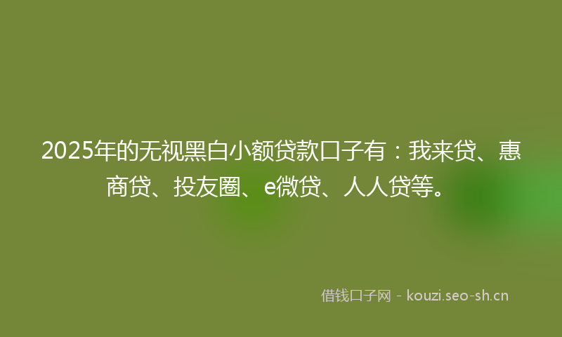 2025年的无视黑白小额贷款口子有：我来贷、惠商贷、投友圈、e微贷、人人贷等。