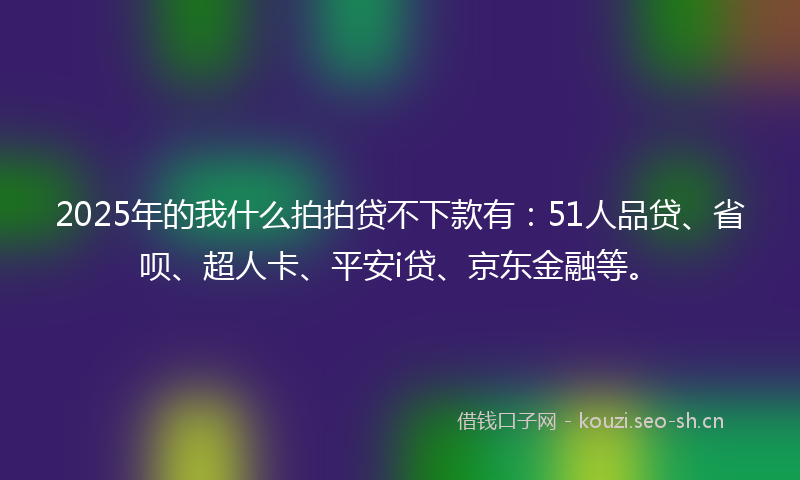 2025年的我什么拍拍贷不下款有：51人品贷、省呗、超人卡、平安i贷、京东金融等。
