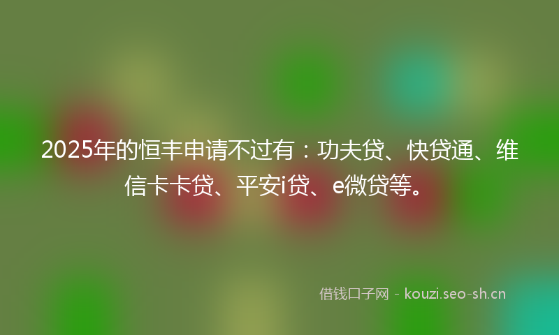 2025年的恒丰申请不过有：功夫贷、快贷通、维信卡卡贷、平安i贷、e微贷等。