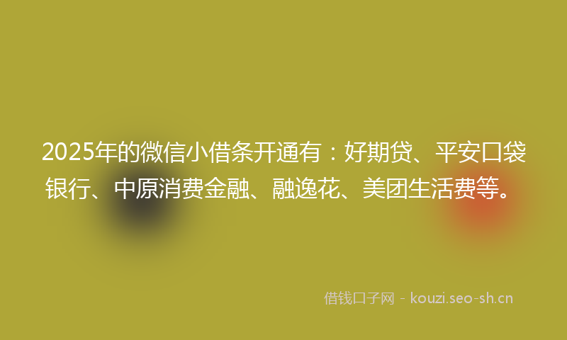 2025年的微信小借条开通有:好期贷、平安口袋银行、中原消费金融、融逸花、美团生活费等。