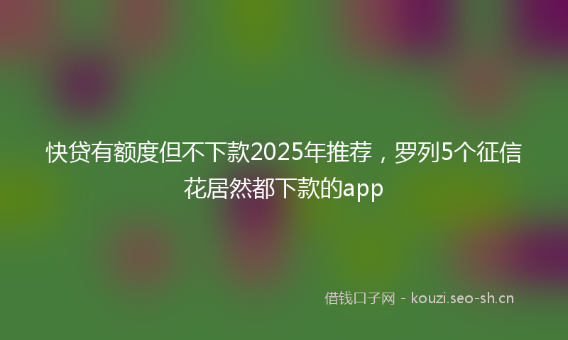 快贷有额度但不下款2025年推荐，罗列5个征信花居然都下款的app